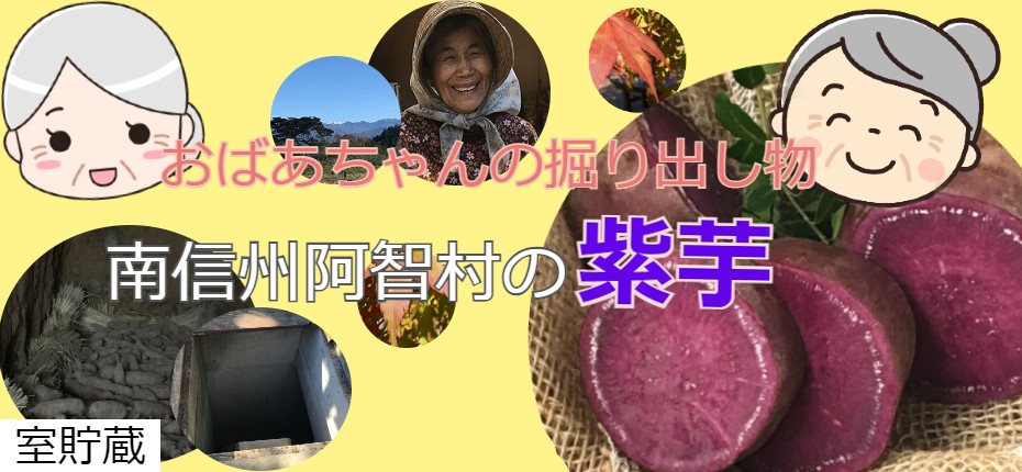 おばあちゃんの掘り出し物、南信州阿智村、紫芋