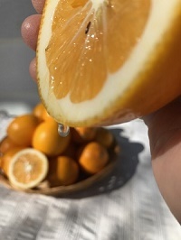 国産レモン、マイヤーレモン、ノーワックスレモン、信州レモン、中川村産