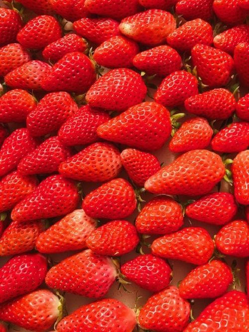 21南信州産苺 章姫の粒々無添加ジャム300g フレッシュジャム いちごジャム 治部坂高原ジャム工房 21南信州産苺 章姫の粒々無添加ジャム300g フレッシュジャム いちごジャム 治部坂高原ジャム工房