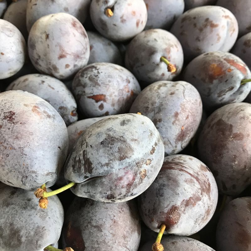 プルーンジャム、オパール、大粒