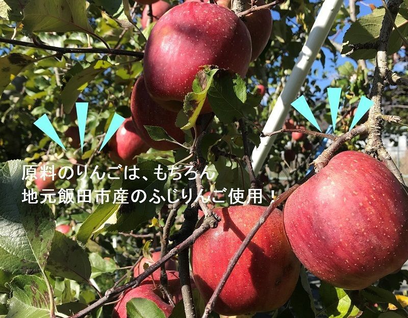南信州産アップルパイ、アップルパイお取り寄せ、名誉総裁賞受賞アップルパイ、並木物語アップルパイ